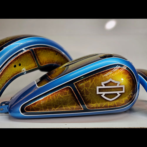 Custom Painted Harley Davidson Dyna Tin set 03-06
