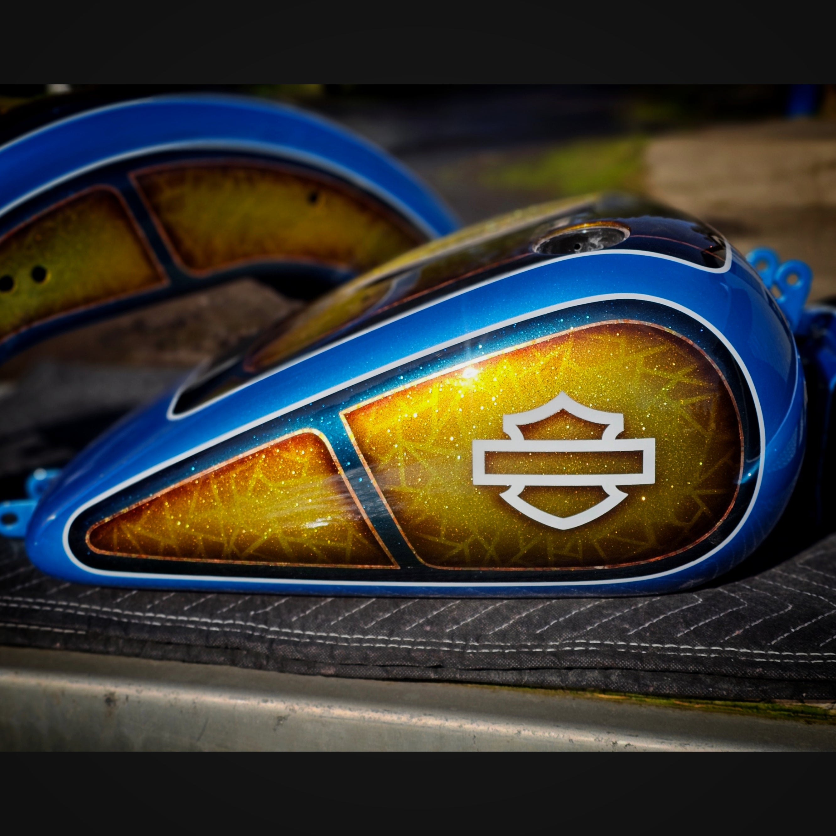Custom Painted Harley Davidson Dyna Tin set 03-06