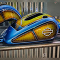 Custom Painted Harley Davidson Dyna Tin set 03-06