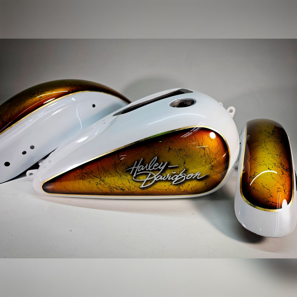 Custom Painted Harley Davidson Dyna Wide Glide tin set